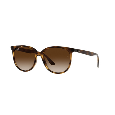 Ray-Ban Solbriller RB43787101354