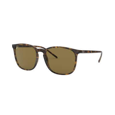 Ray-Ban Solbriller RB43877107356