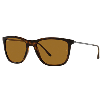 Ray-Ban Solbriller RB4344191372