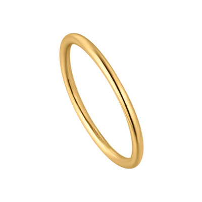 Ania Haie Gold Collection 14 karaat Gouden Ring AH-RAU001-06YG