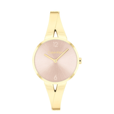 Calvin Klein Dames Horloge CK25100027