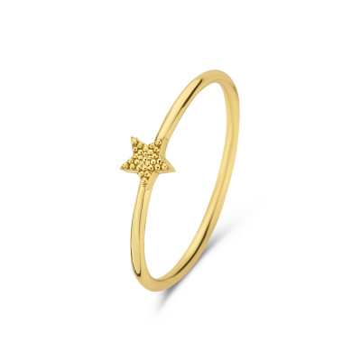 Selected Jewels Julie Esthée 925 Sterling Zilveren Goudkleurige Ring SJ300015